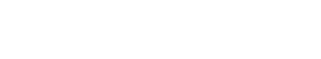 LeadSavvy Pro