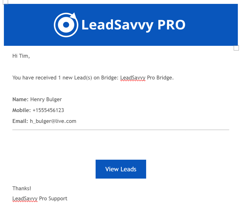 LeadSavvy Pro email notification showing a new Facebook lead