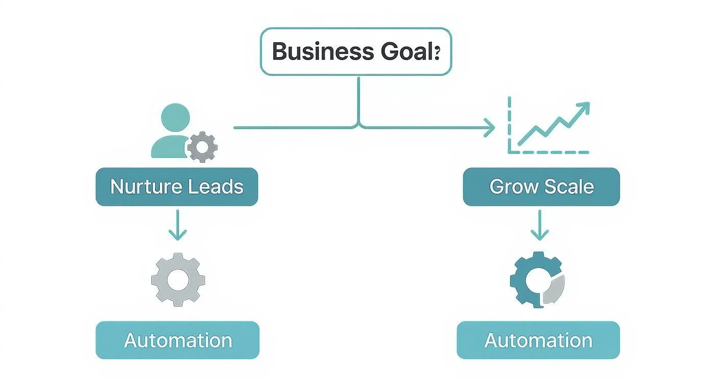 Infographic about marketing automation tools comparison